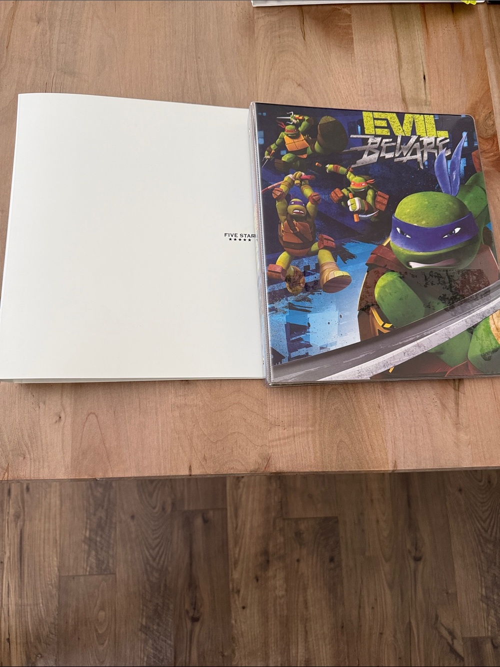 Nickelodeon Teenage Mutant Ninja Turtles Green & Purple 3-Ring Binder